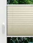 LYSEL HOME Plissee 231A Leif Fensteransicht