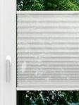 LYSEL HOME Plissee 118A Nohr Fensteransicht