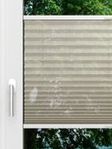 LYSEL HOME Plissee 110A Nohr Fensteransicht