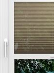 LYSEL HOME Plissee 111A Nohr Fensteransicht
