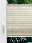 LYSEL HOME Plissee 226A Nohr Fensteransicht