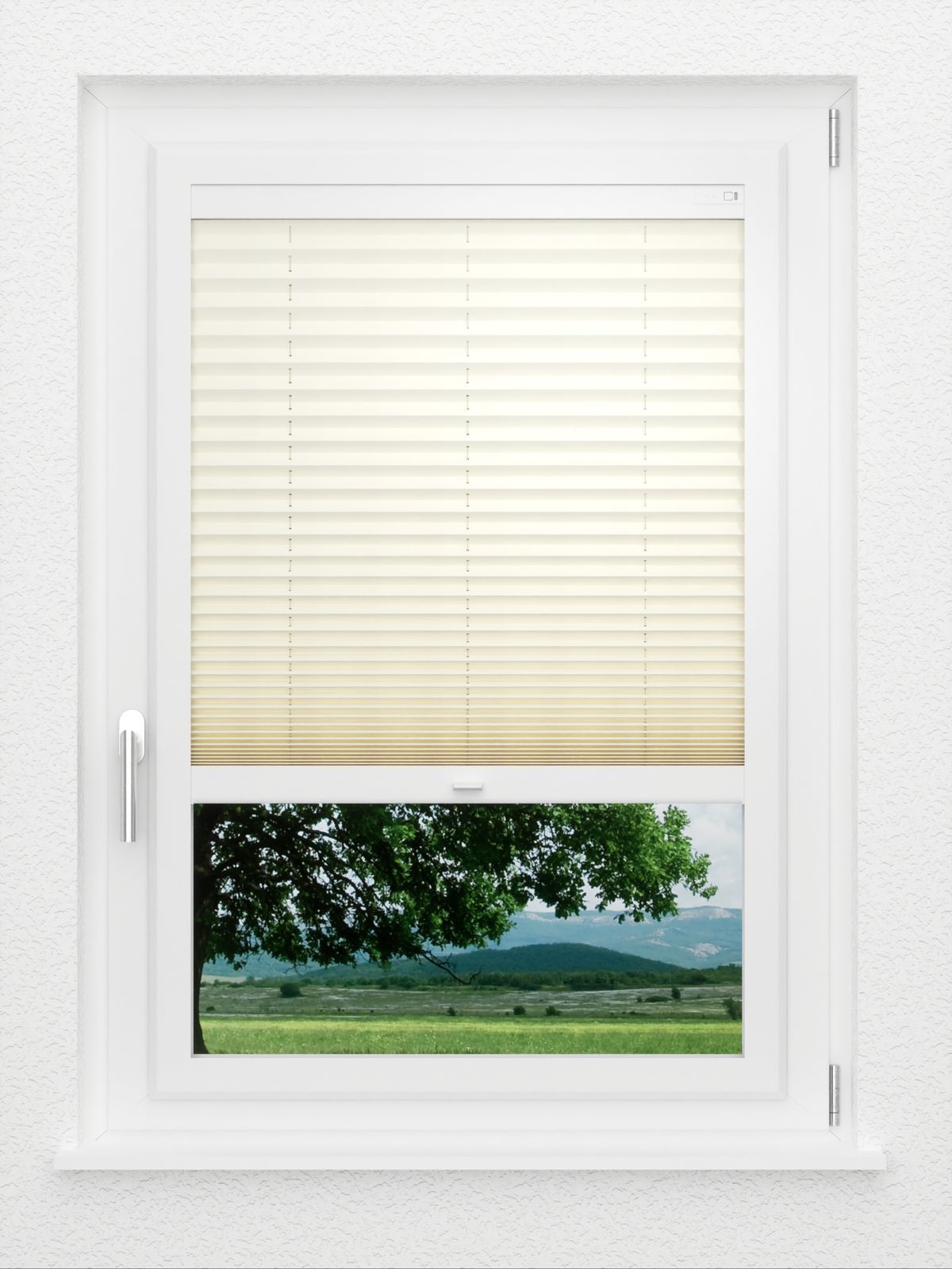 Detailansicht LYSEL HOME Plissee 101A Elva Krepp Pearl