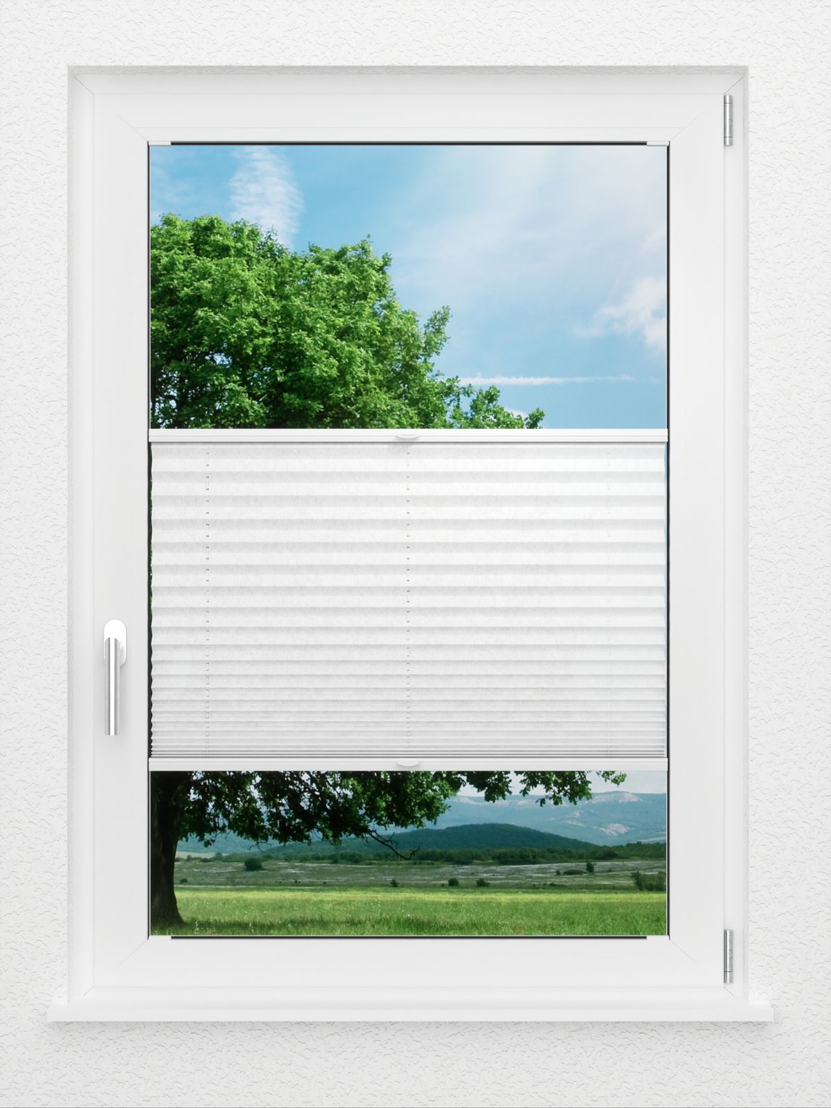 Detailansicht LYSEL HOME Plissee 204A Leif