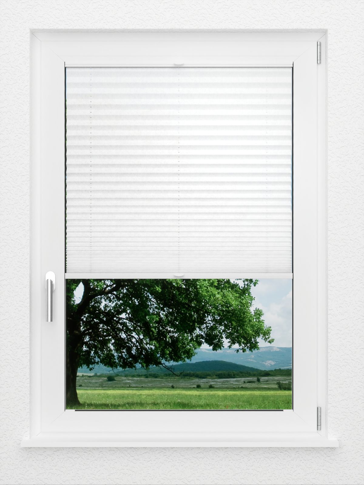 Detailansicht LYSEL HOME Plissee 204A Leif