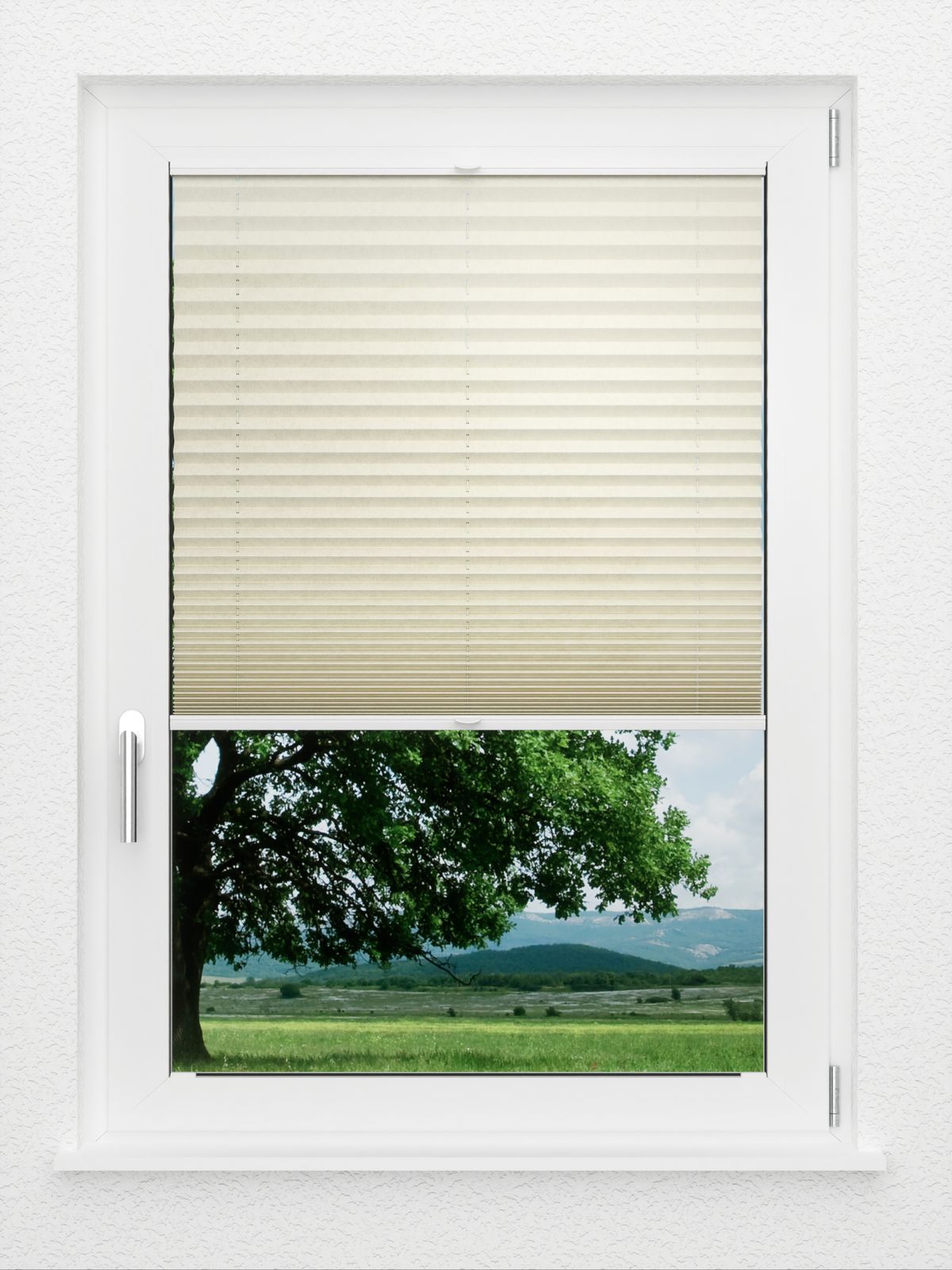 Detailansicht LYSEL HOME Plissee 231A Leif