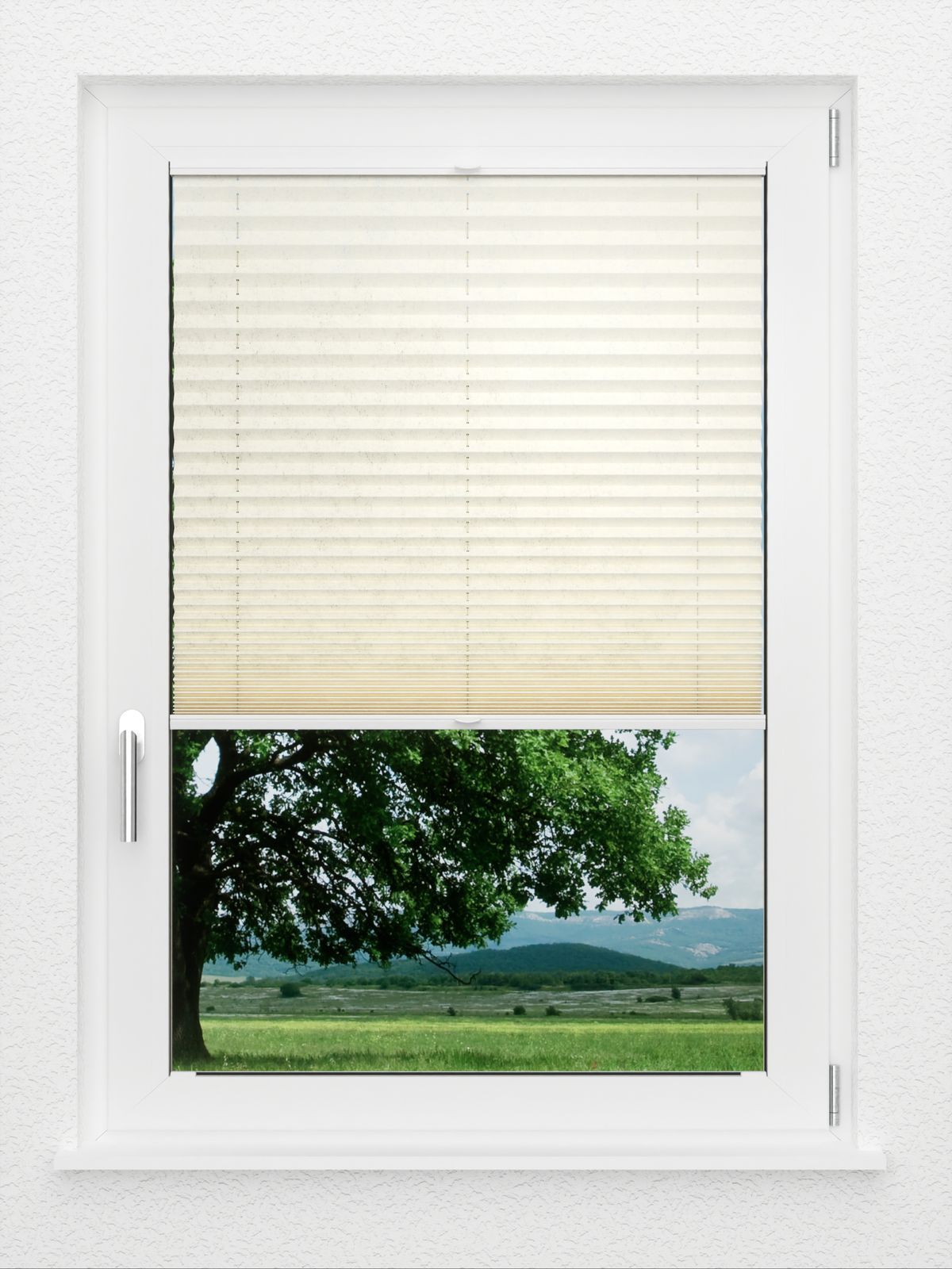 Detailansicht LYSEL HOME Plissee 227A Leif