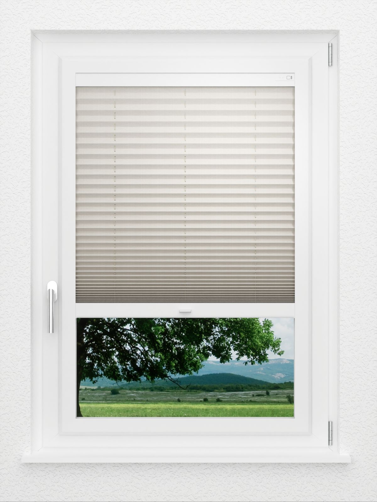 Detailansicht LYSEL HOME Plissee 213A Leja BO