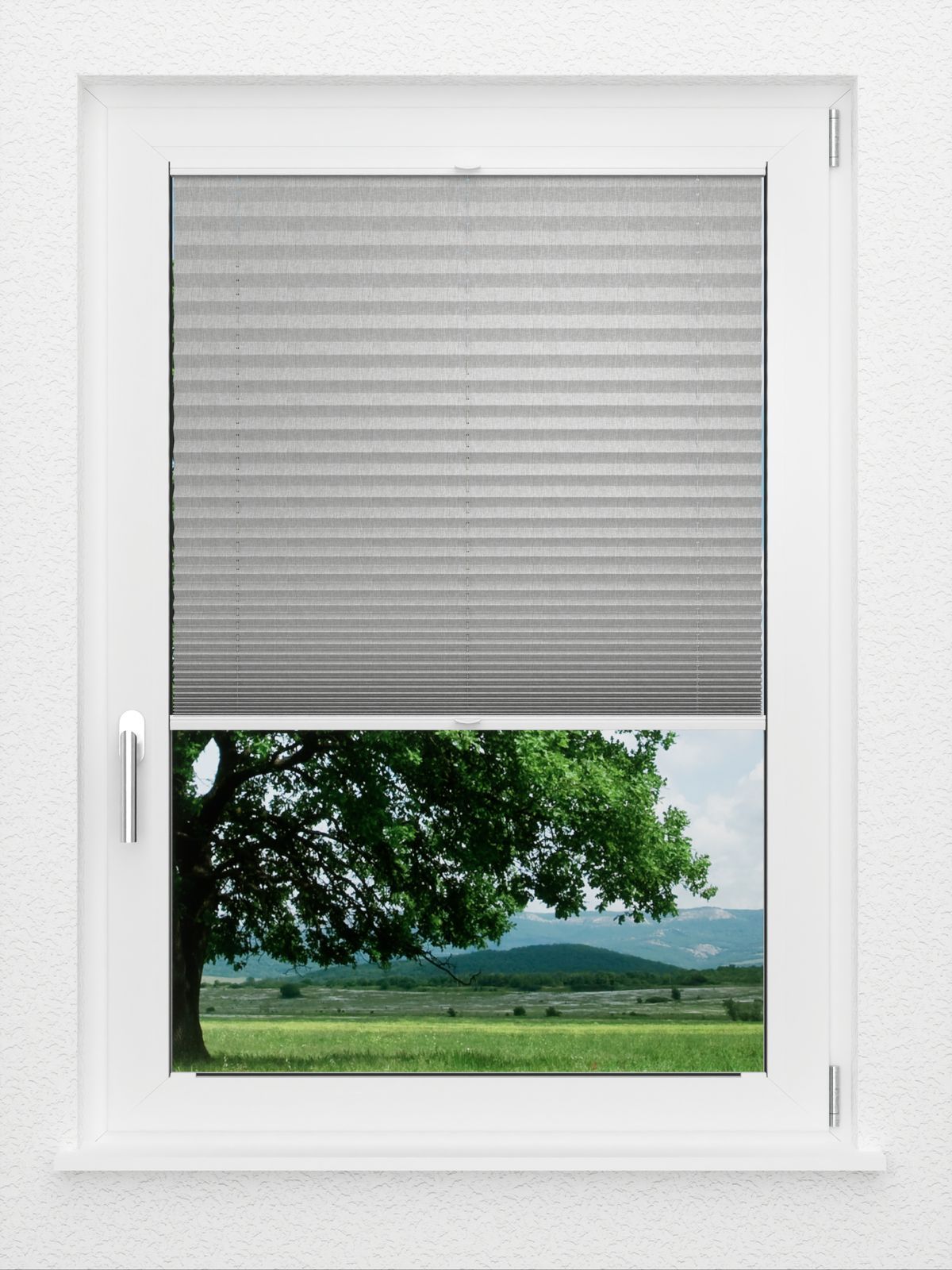 Detailansicht LYSEL HOME Plissee 217A Leja BO