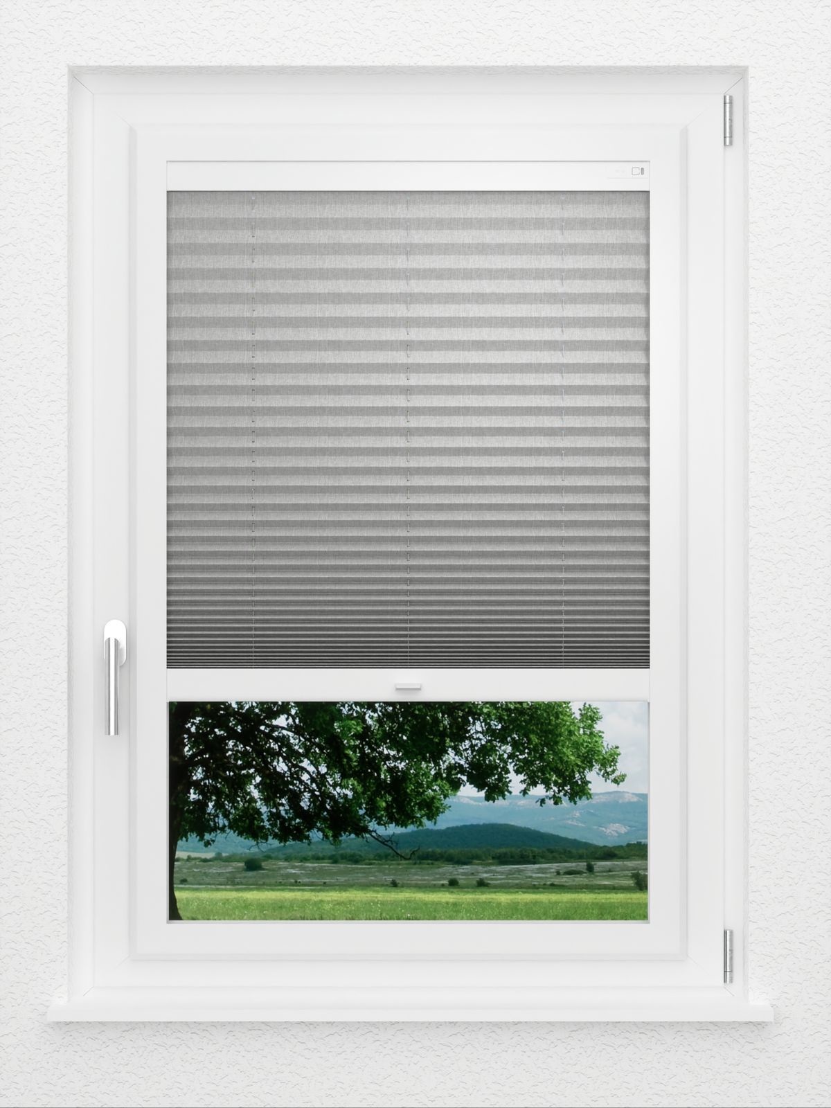 Detailansicht LYSEL HOME Plissee 217A Leja BO