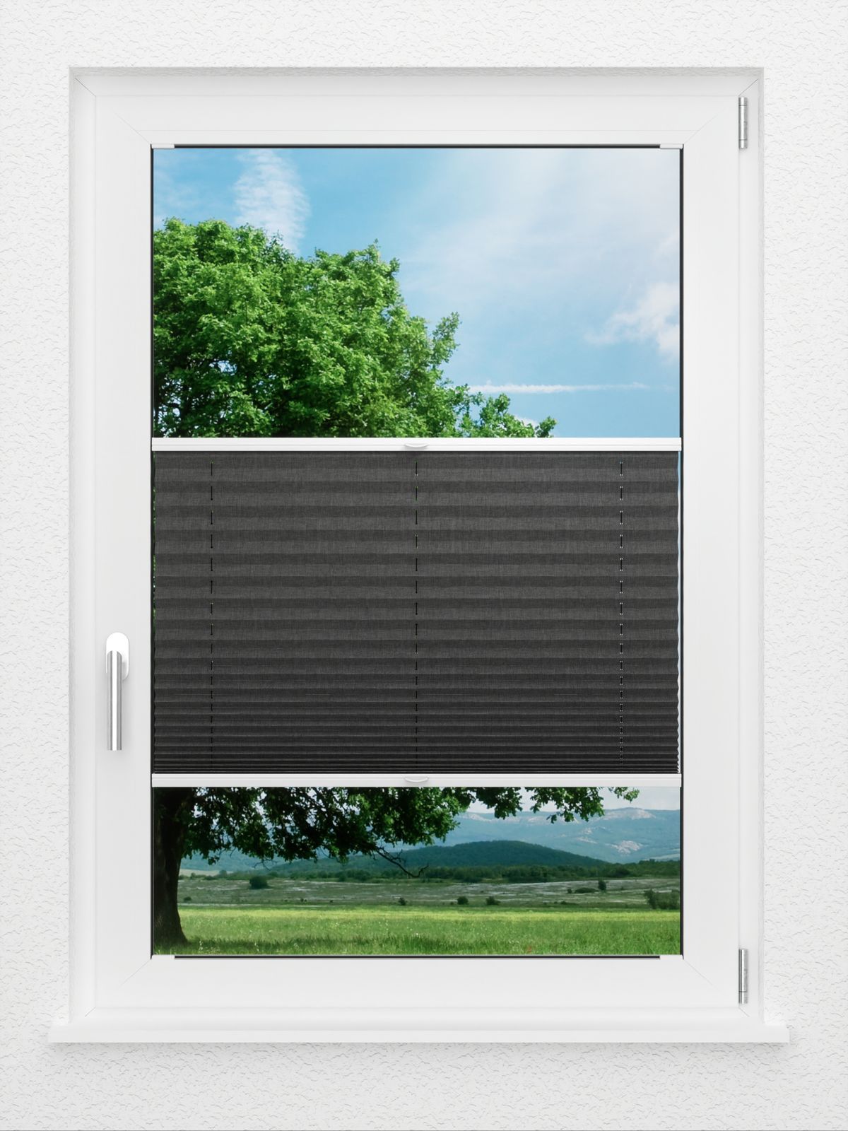 Detailansicht LYSEL HOME Plissee 117A Leja BO