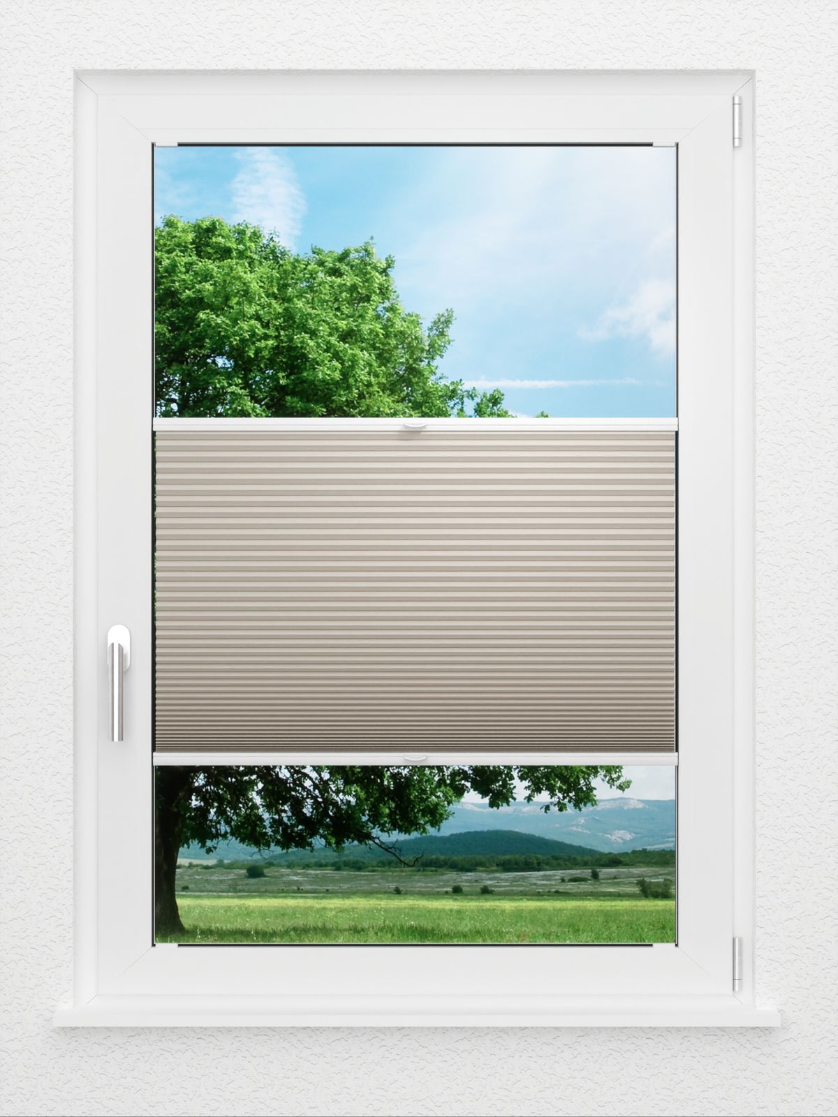 Detailansicht LYSEL HOME Wabe 012A Lomé BO