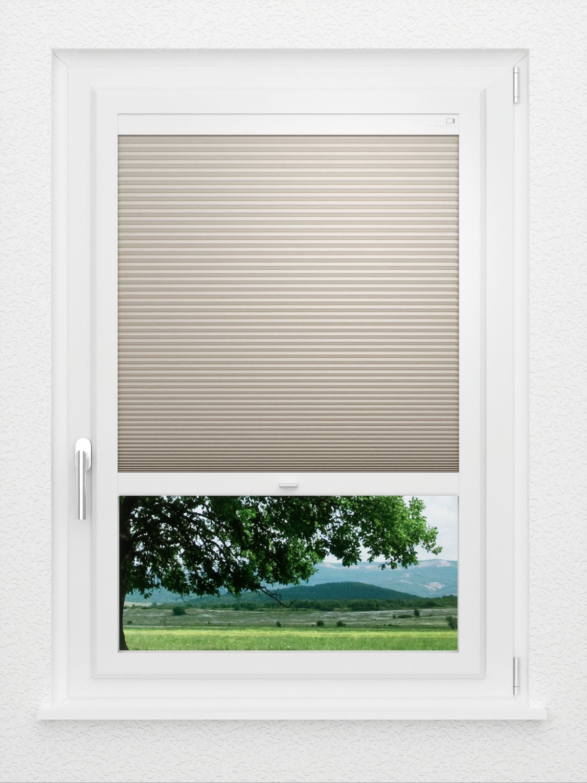 Detailansicht LYSEL HOME Wabe 012A Lomé BO