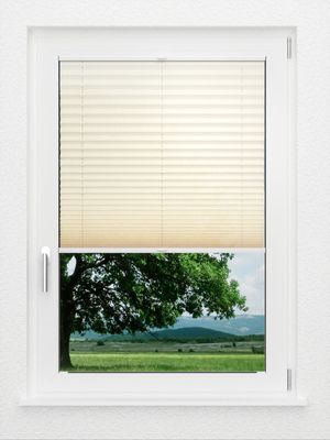 Preview LYSEL HOME Plissee 207A Elva Krepp 1