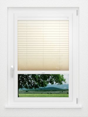 Preview LYSEL HOME Plissee 207A Elva Krepp 1