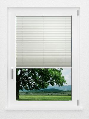 Preview LYSEL HOME Plissee 206A Elva Krepp 1