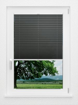 Preview LYSEL HOME Plissee 137A Elva Krepp 1