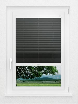 Preview LYSEL HOME Plissee 137A Elva Krepp 1