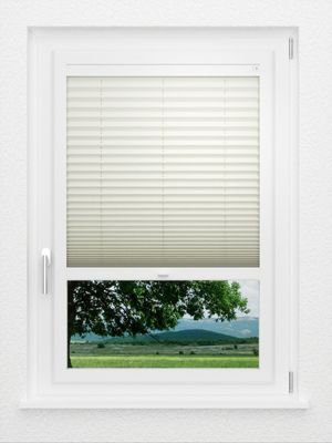 Preview LYSEL HOME Plissee 219A Elva Krepp BO 1