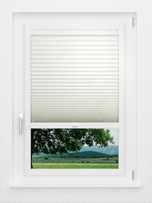 Preview LYSEL HOME Plissee 108A Alva Crush 1