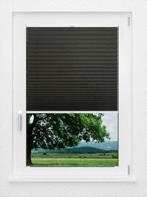 Preview LYSEL HOME Plissee 230A Alva Crush 1