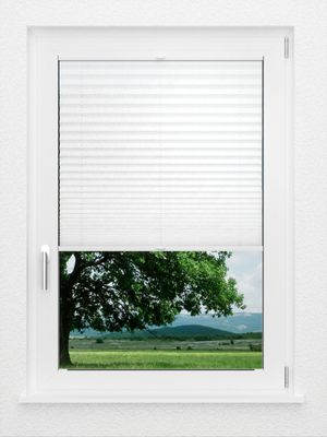 Preview LYSEL HOME Plissee 204A Leif 1