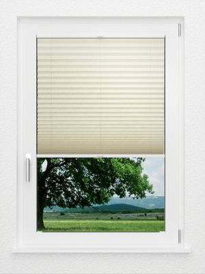 Preview LYSEL HOME Plissee 231A Leif 1