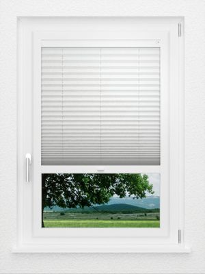 Preview LYSEL HOME Plissee 135A Leif 1