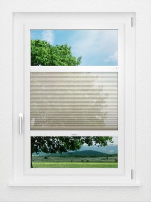 Preview LYSEL HOME Plissee 110A Nohr 0