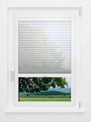 Preview LYSEL HOME Plissee 113A Nohr 1