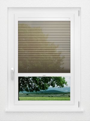 Preview LYSEL HOME Plissee 111A Nohr 1