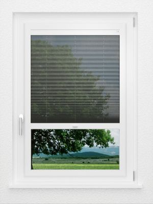 Preview LYSEL HOME Plissee 112A Nohr 1