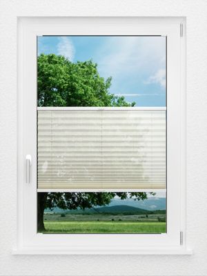 Preview LYSEL HOME Plissee 232A Nohr 0