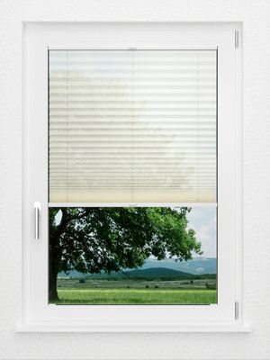 Preview LYSEL HOME Plissee 232A Nohr 1