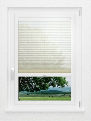 Preview LYSEL HOME Plissee 232A Nohr 1