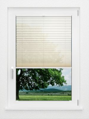 Preview LYSEL HOME Plissee 226A Nohr 1