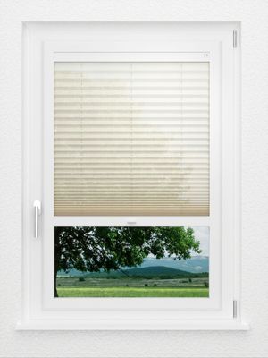 Preview LYSEL HOME Plissee 226A Nohr 1