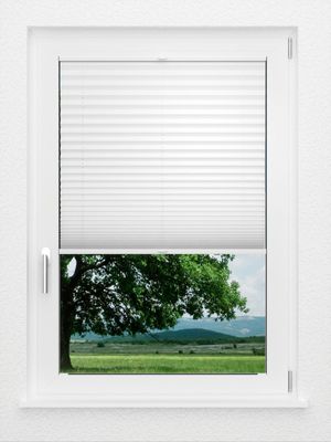 Preview LYSEL HOME Plissee 209B Elva Krepp Pearl 1