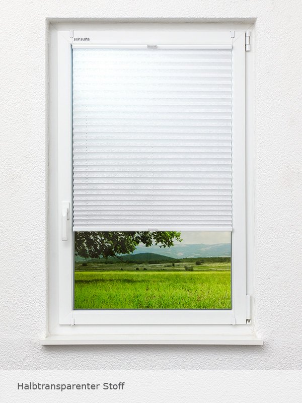 Detailansicht Backyard 1216vs