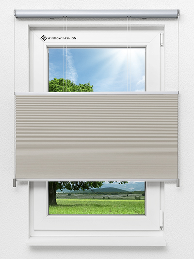 Belisa Dark 1541vs Fensteransicht