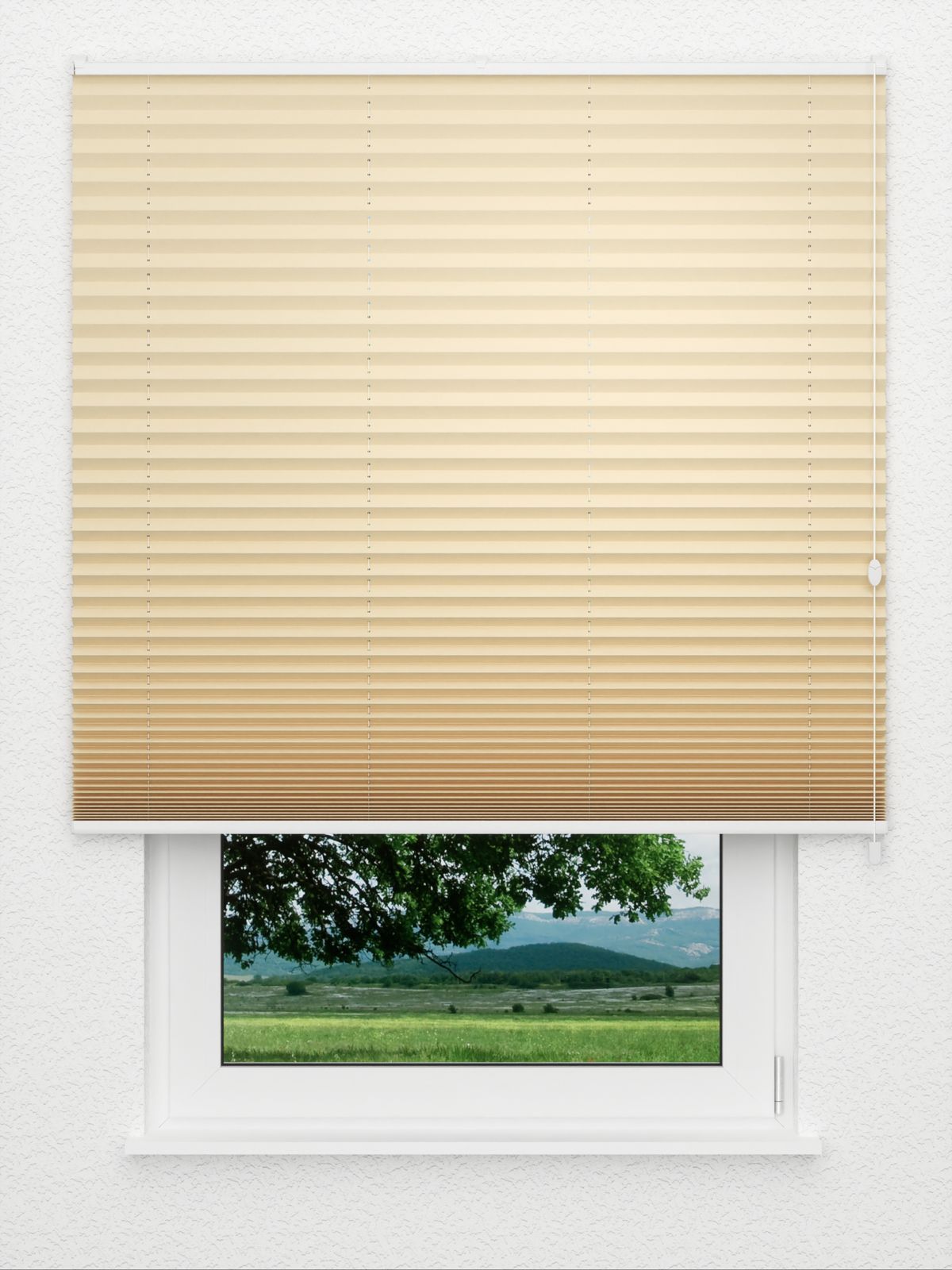 Detailansicht Plissee Krepp B1 111vs