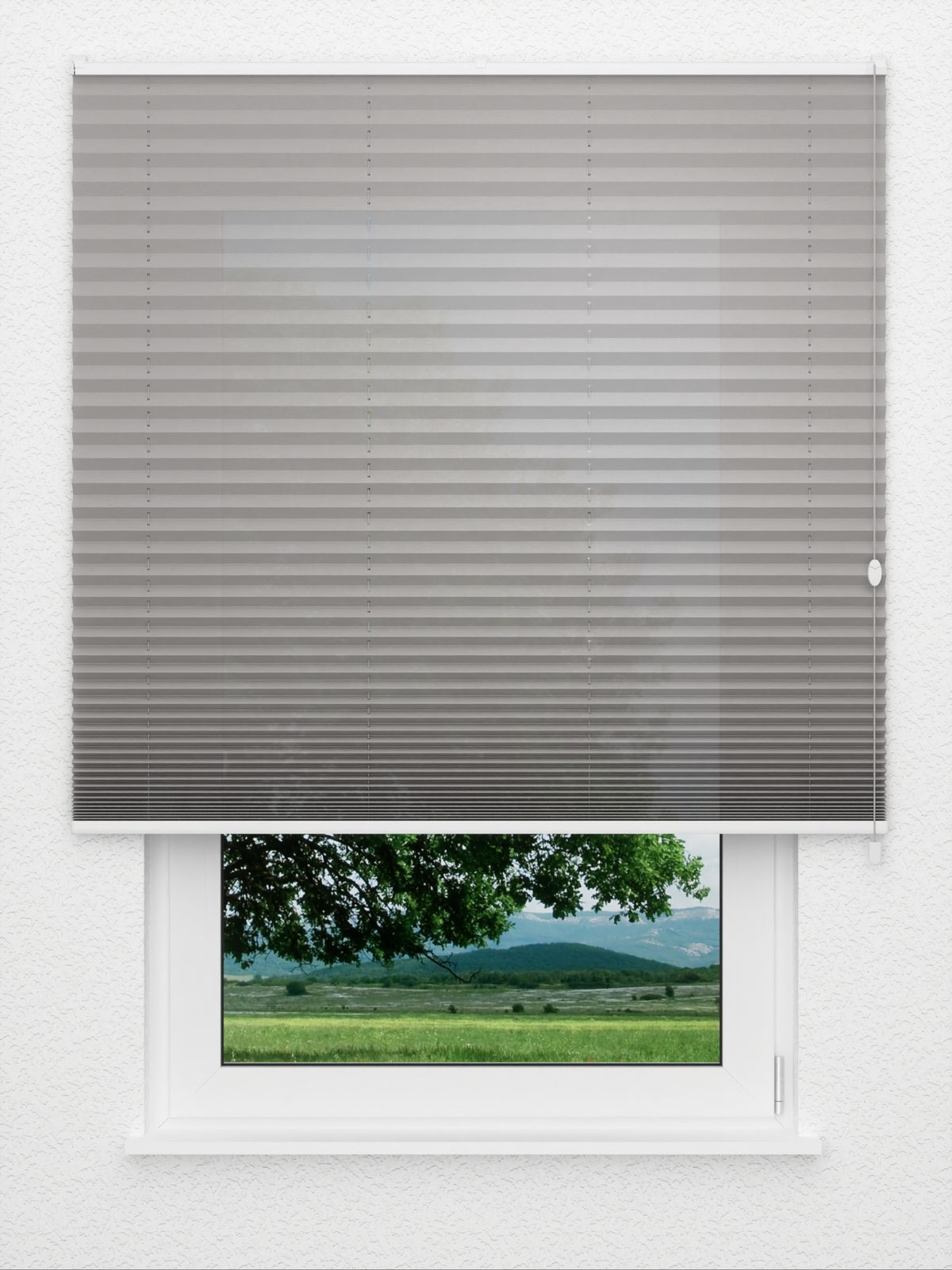 Detailansicht Plissee Color Krepp 1322vs