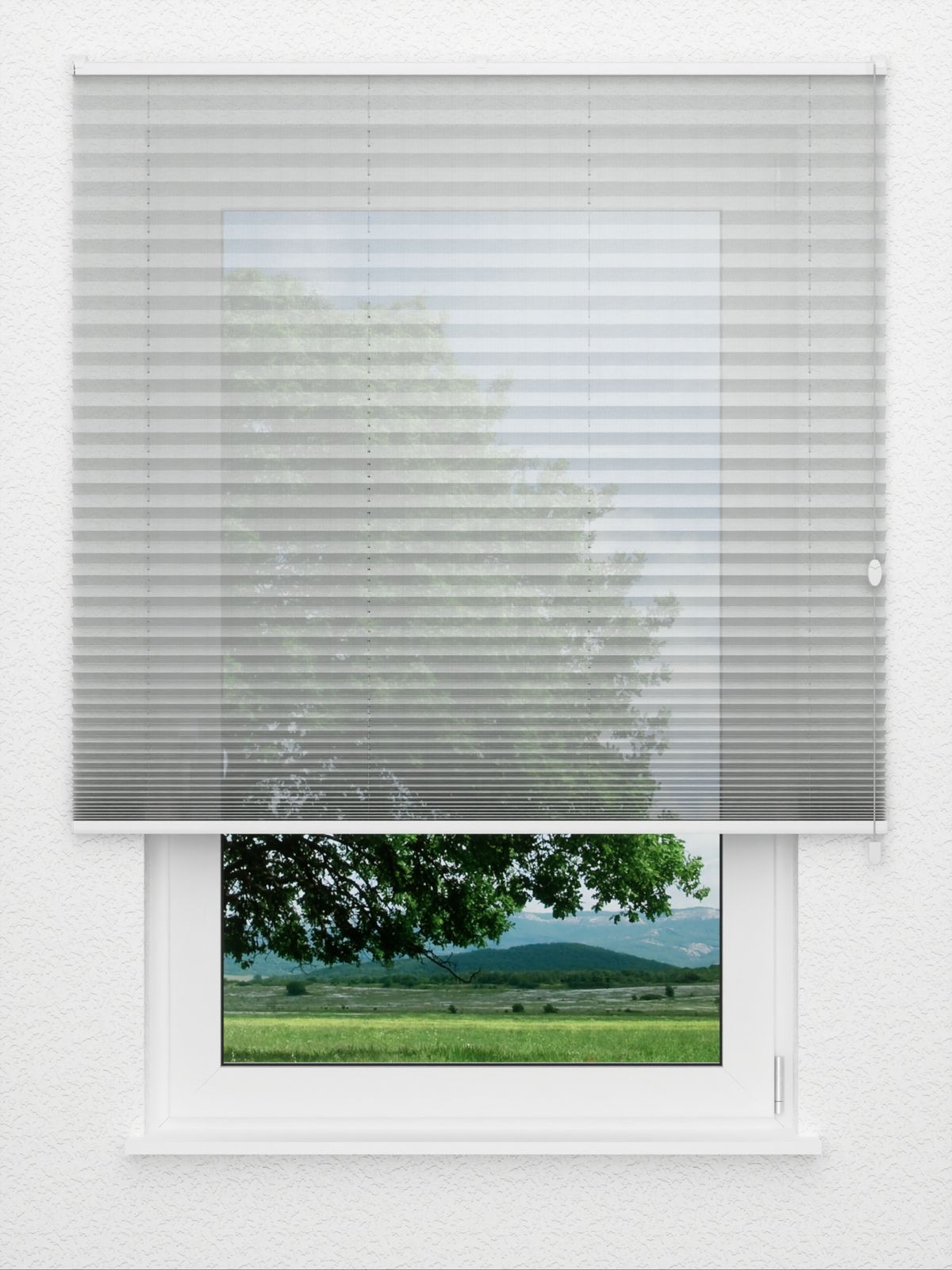Detailansicht Plissee Shadow 817vs