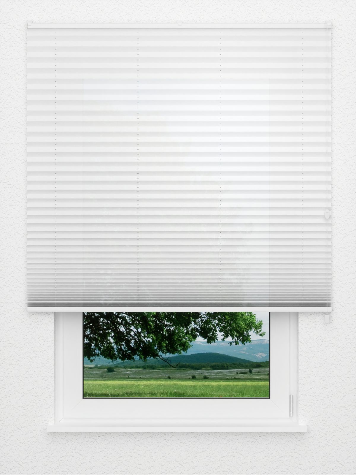 Detailansicht Ravy 1027vs