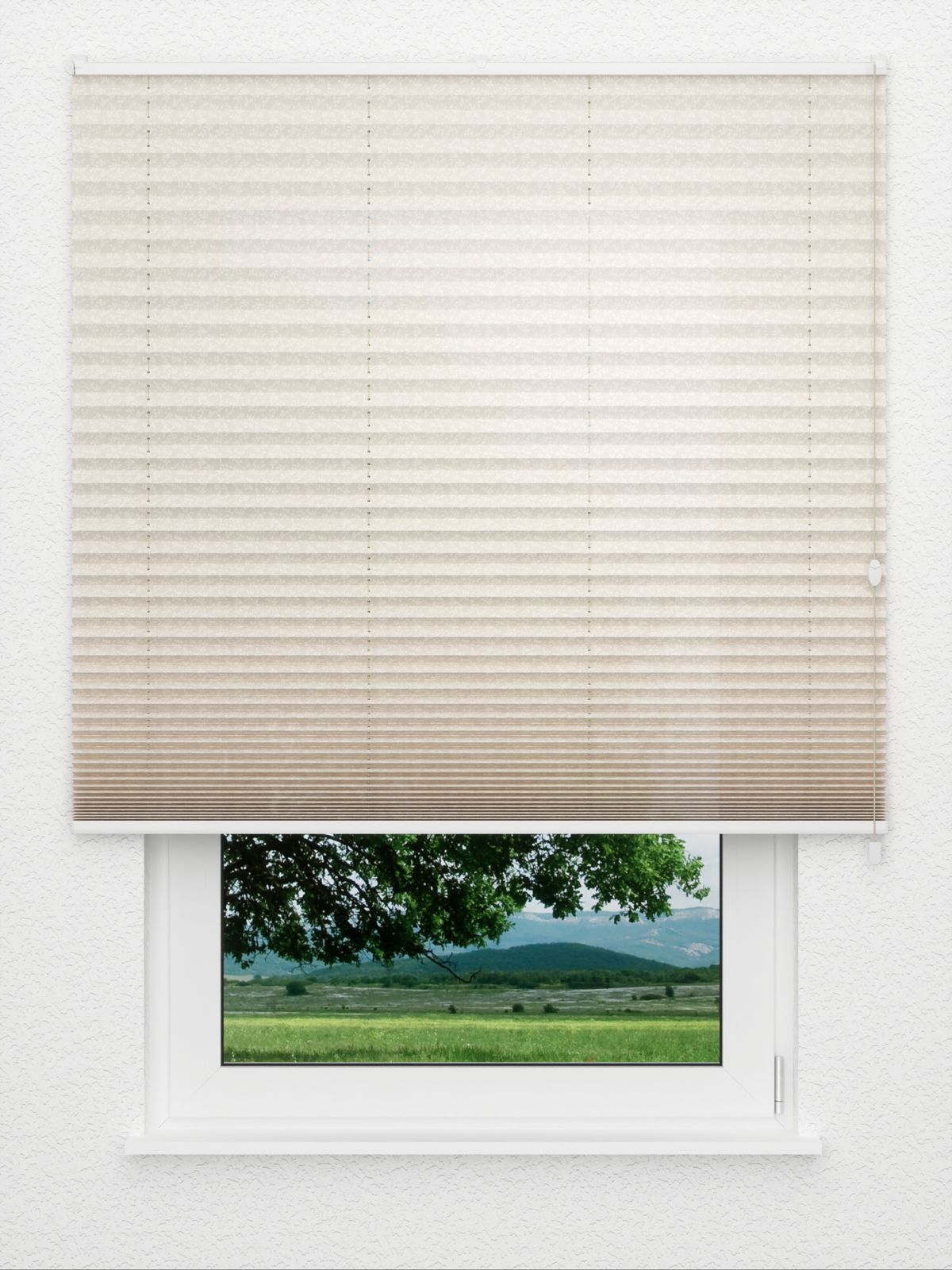Detailansicht Backyard 182vs