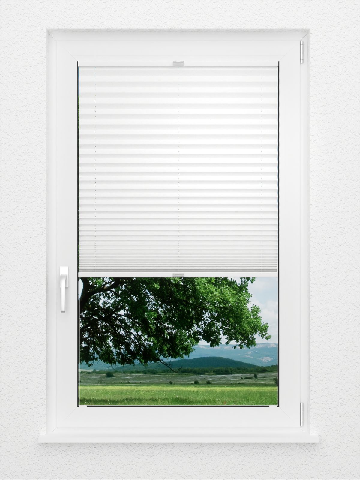 Detailansicht Plissee Office Creation 462vs