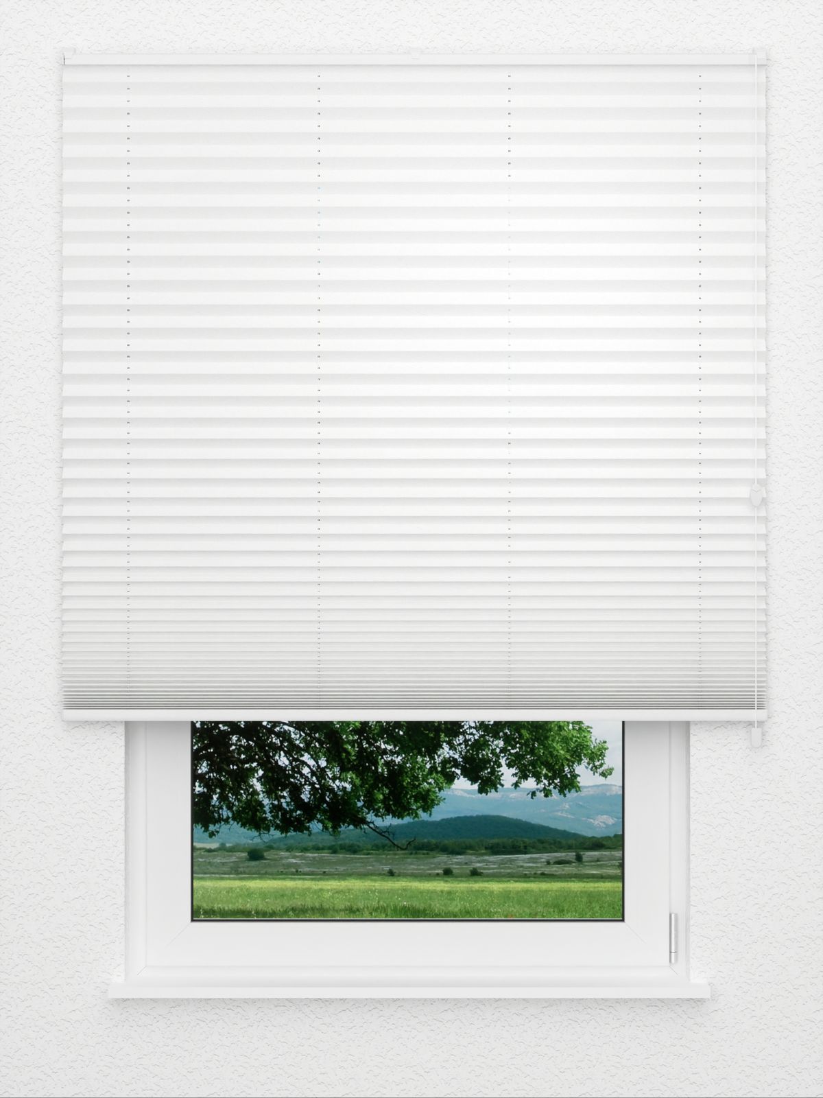 Detailansicht Plissee Office Creation 462vs