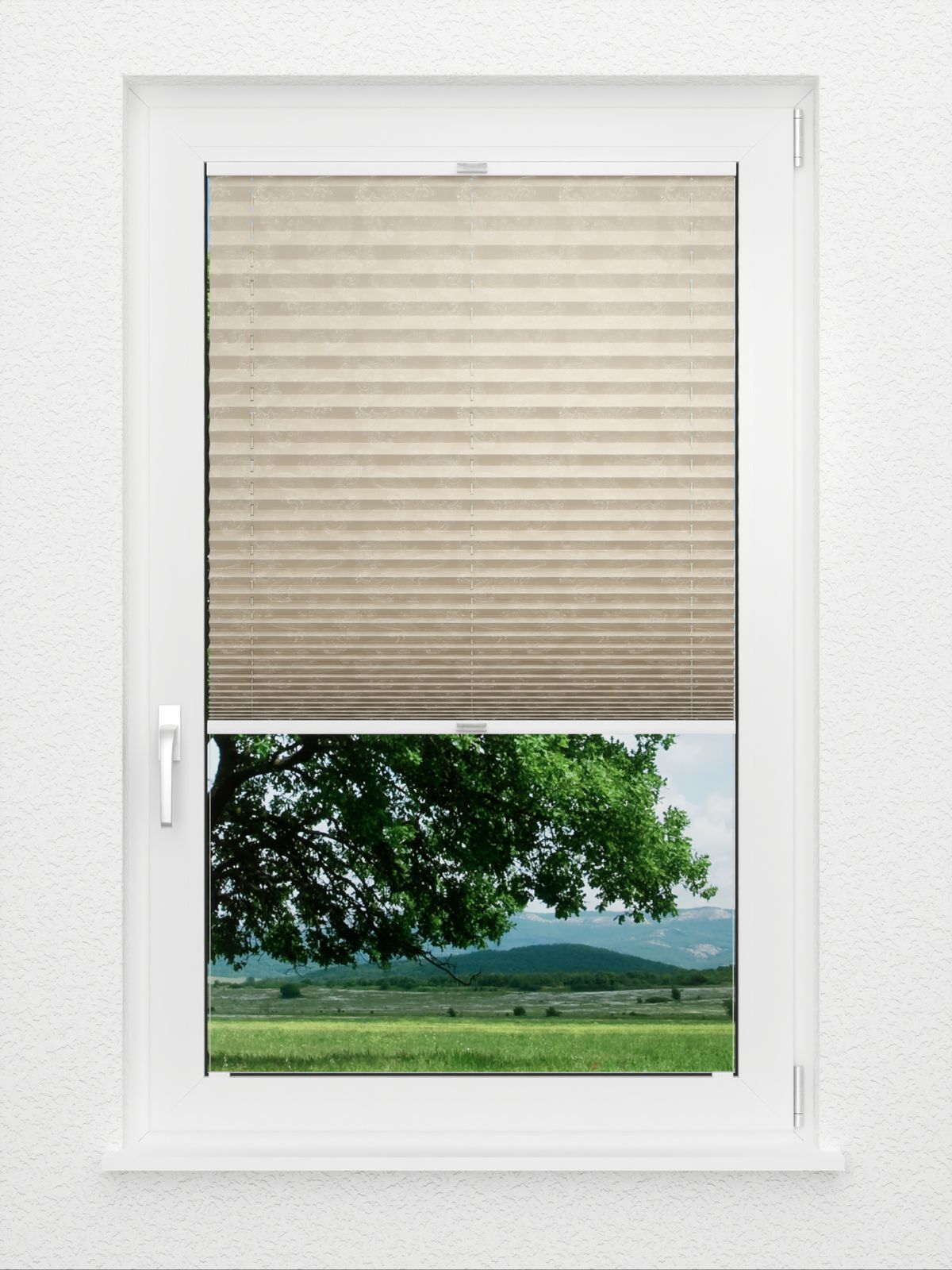 Detailansicht Plissee Mirebothe 1250vs