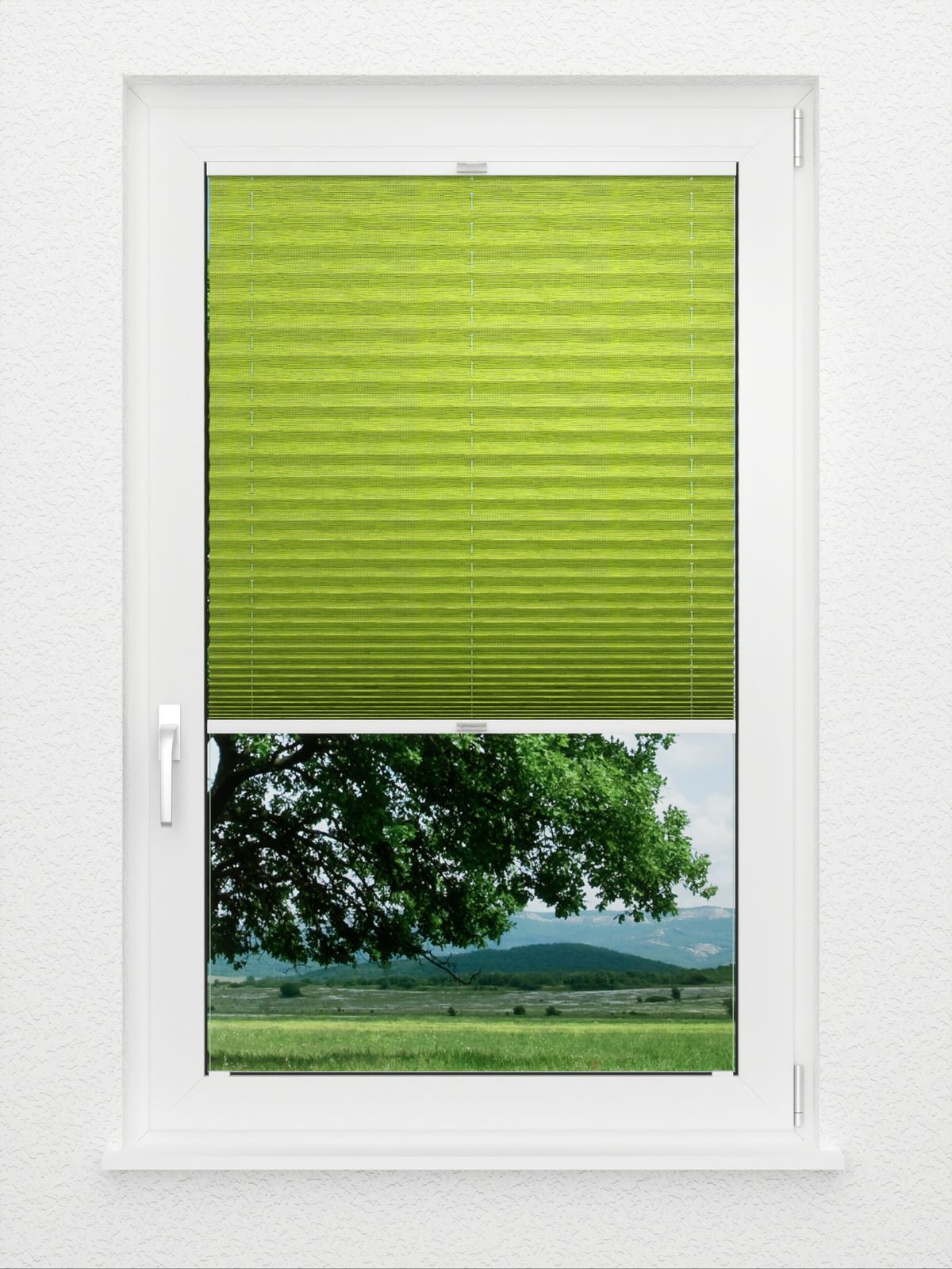 Detailansicht Plissee Cetus 848vs