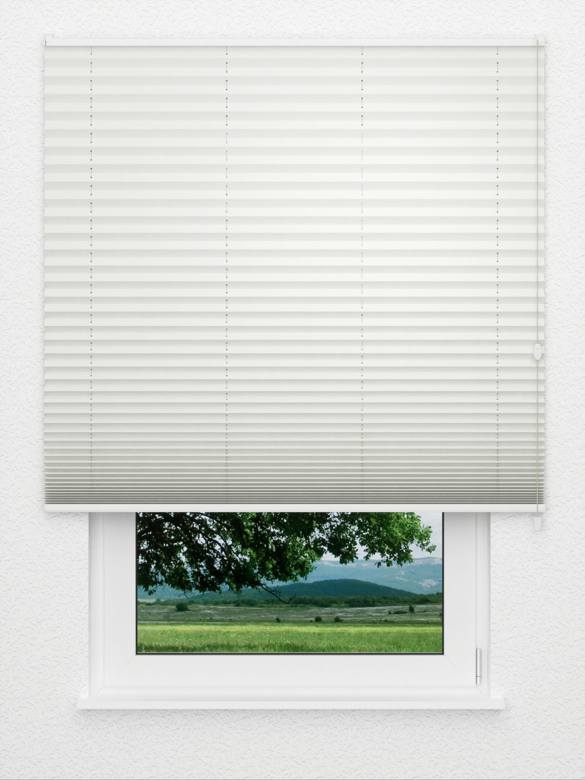 Detailansicht Plissee Suit 643vs