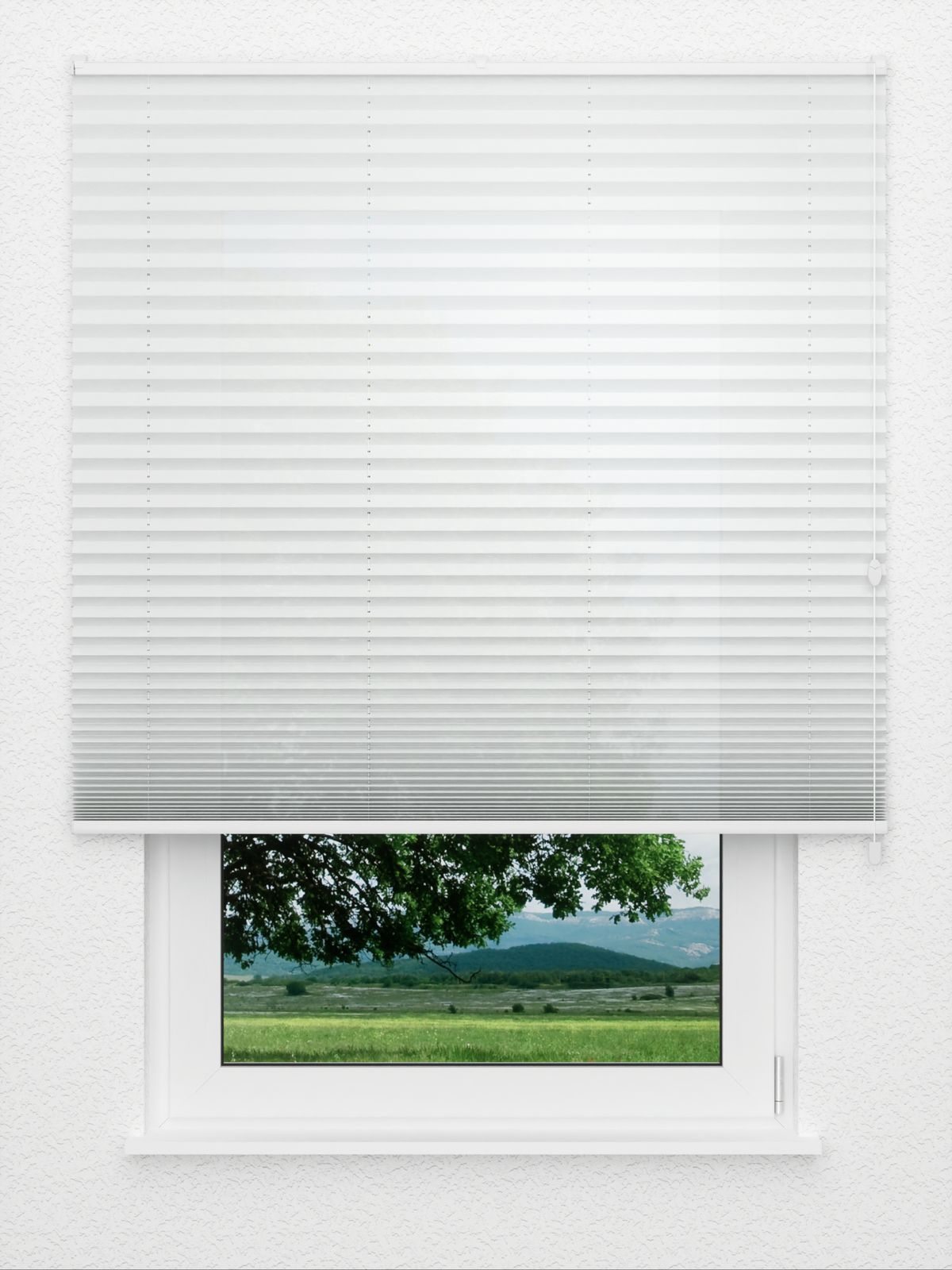 Detailansicht Day Life 781vs
